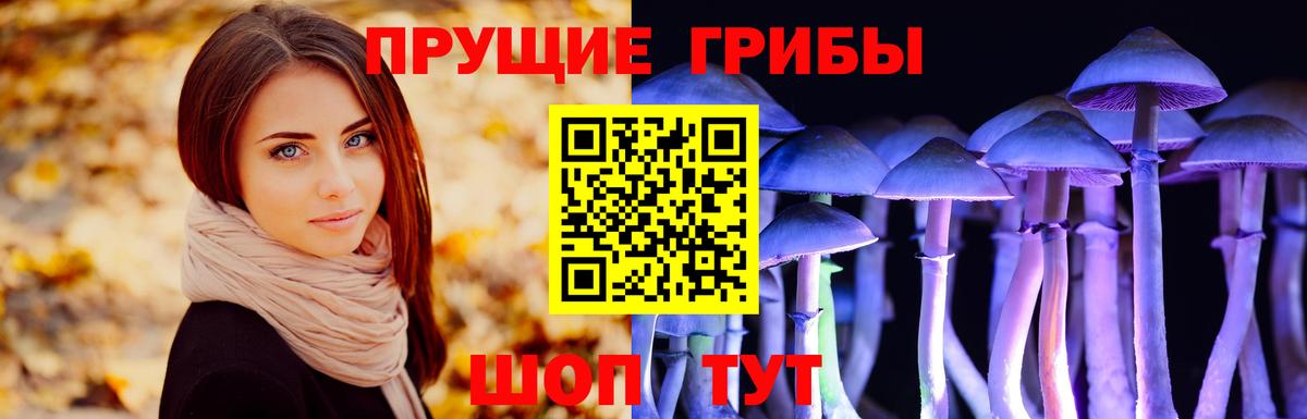 Псилоцибиновые грибы Psilocybe Жигулёвск