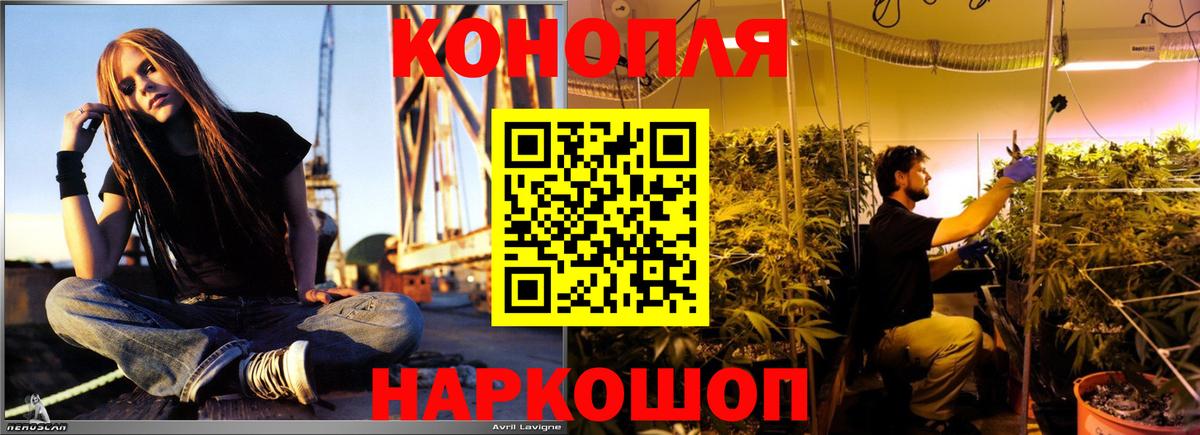 Бошки марихуана тримм  Бошки марихуана гибрид  Бошки Шишки VHQ  Жигулёвск  Вход с VPN 